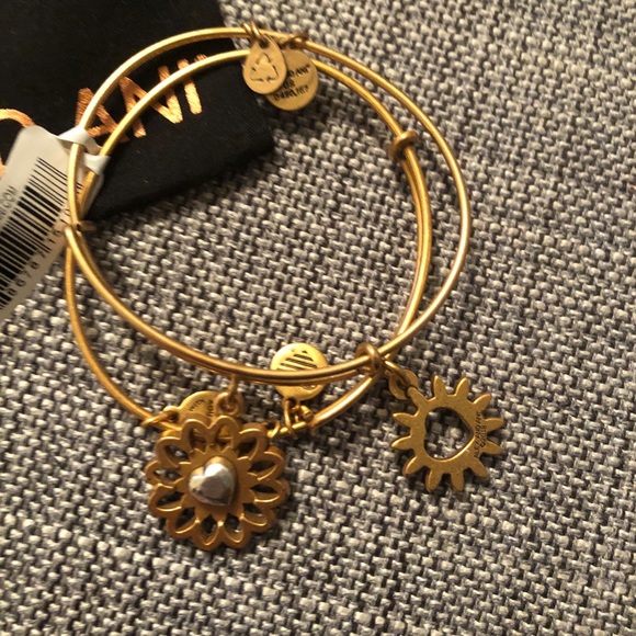 Alex and ani you are my heart - Picture 2 of 3